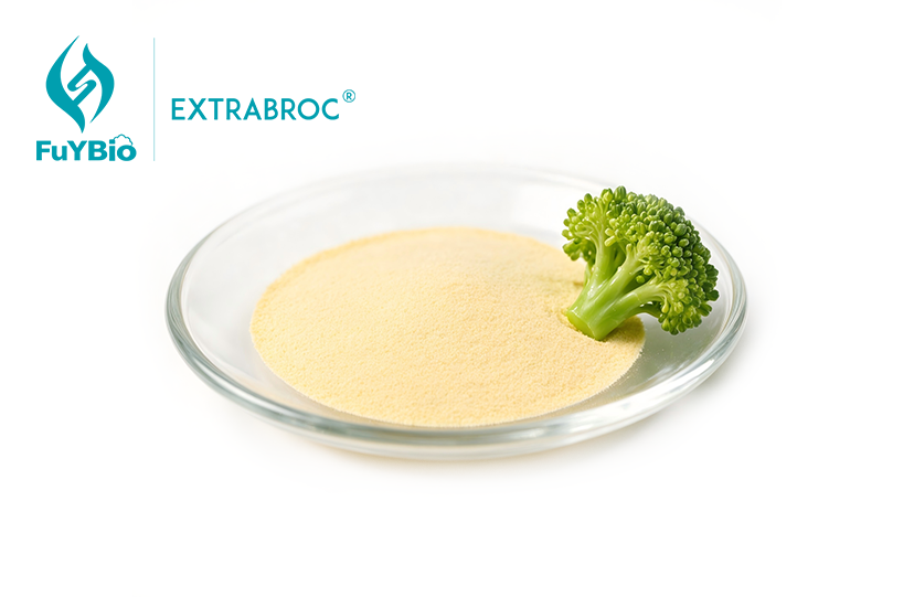 Sulforaphane Rich Broccoli Extract
